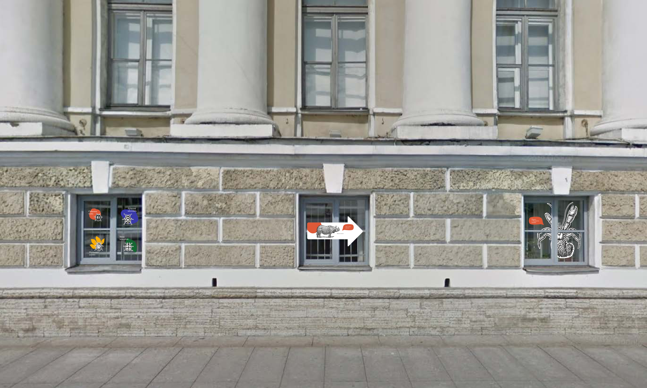 Указатели в окнах цокольного этажа