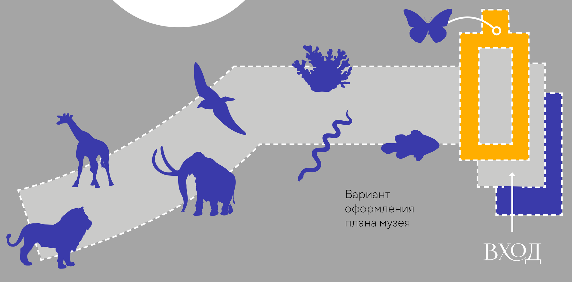 План музея с силуэтами животных