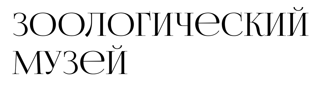 Шрифтовая антиква ЗООЛОГИЧЕСКИЙ МУЗЕЙ